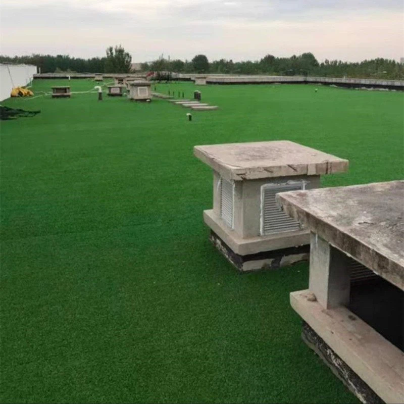 frontyard roof grass
