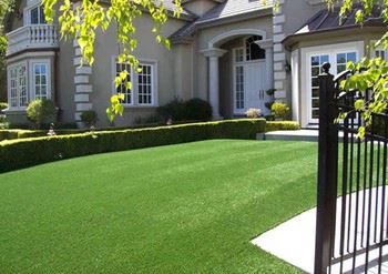 Best Artificial Putting Green Grass